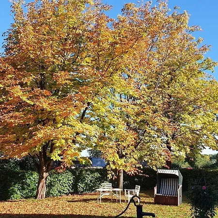Apartament Mit Tiny House *