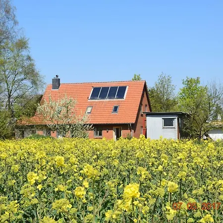 Apartment Mit Tiny House