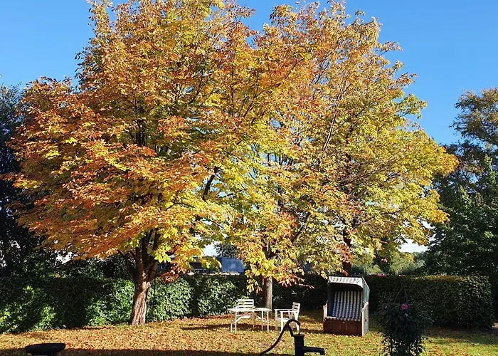 Apartamento Mit Tiny House *