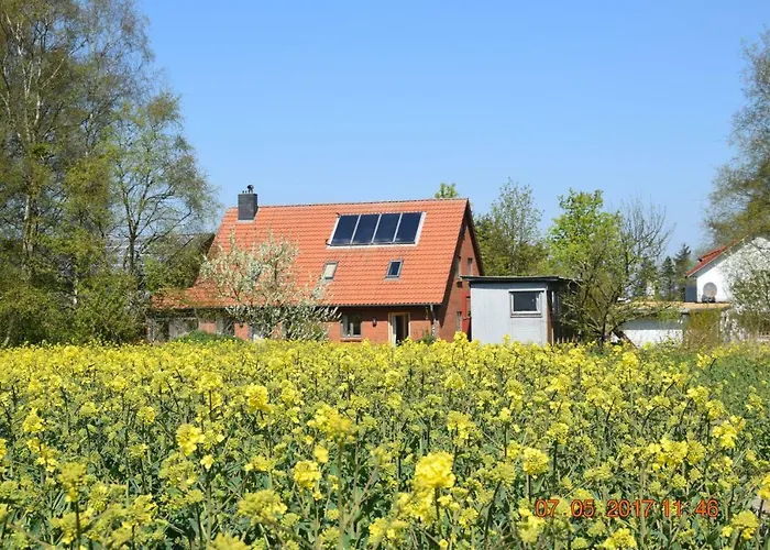 Apartamento Mit Tiny House