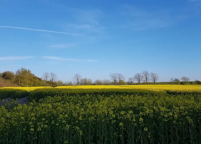 Mit Tiny House Apartamento *